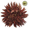 Cabeza de Crisantemo Ø16 cm Clip Marron