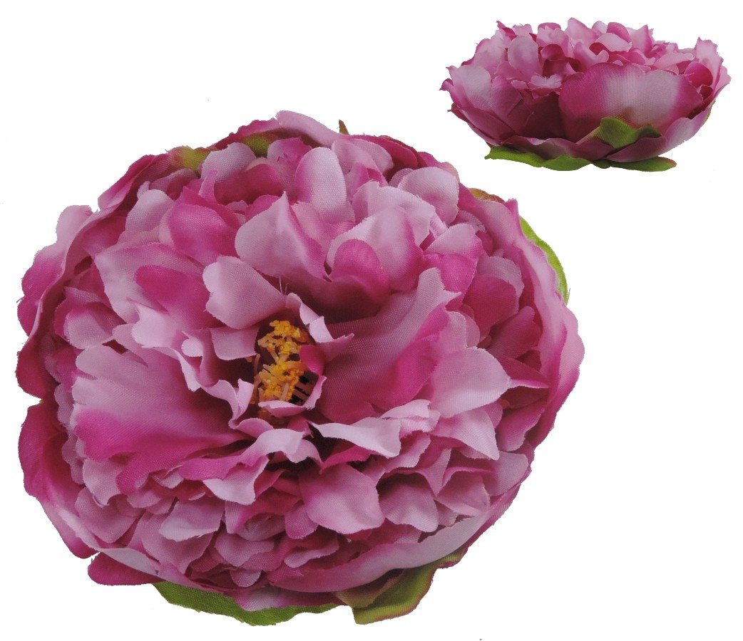 Cabeza de Peonia Ø13 cm Rosa Fucsia