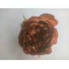 Peonia clip marron 