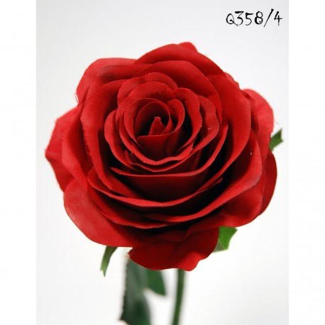 Rosa 65cm Roja