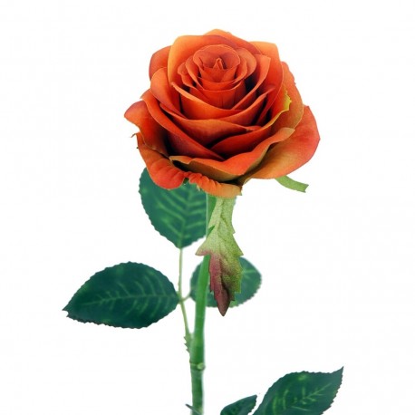 Rosa 65cm Naranja