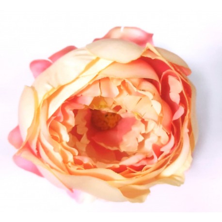 Cabeza de Peonia Ø13cm Rosa/Crema