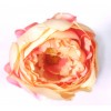 Cabeza de Peonia Ø13cm Rosa/Crema