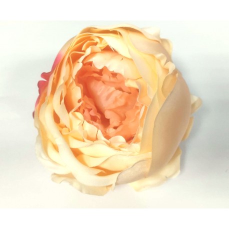 Cabeza de Peonia Ø13cm Crema