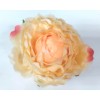 Cabeza de Peonia Ø13cm Crema