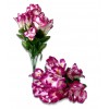 Ramo Iris x9 fucsia 47cm